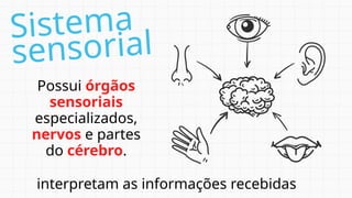 Sistema
sensorial
Possui órgãos
sensoriais
especializados,
nervos e partes
do cérebro.
interpretam as informações recebidas
 
