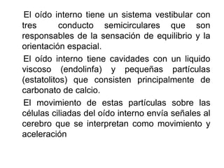 El oído interno tiene un sistema vestibular con
tres conducto semicirculares que son
responsables de la sensación de equilibrio y la
orientación espacial.
El oído interno tiene cavidades con un liquido
viscoso (endolinfa) y pequeñas partículas
(estatolitos) que consisten principalmente de
carbonato de calcio.
El movimiento de estas partículas sobre las
células ciliadas del oído interno envía señales al
cerebro que se interpretan como movimiento y
aceleración
 