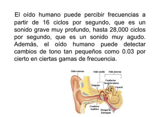 El oído humano puede percibir frecuencias a
partir de 16 ciclos por segundo, que es un
sonido grave muy profundo, hasta 28,000 ciclos
por segundo, que es un sonido muy agudo.
Además, el oído humano puede detectar
cambios de tono tan pequeños como 0.03 por
cierto en ciertas gamas de frecuencia.
 