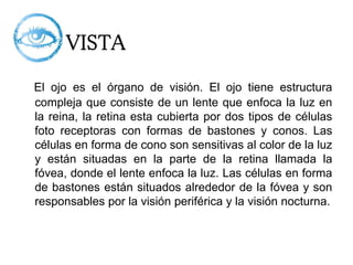 VISTA
El ojo es el órgano de visión. El ojo tiene estructura
compleja que consiste de un lente que enfoca la luz en
la reina, la retina esta cubierta por dos tipos de células
foto receptoras con formas de bastones y conos. Las
células en forma de cono son sensitivas al color de la luz
y están situadas en la parte de la retina llamada la
fóvea, donde el lente enfoca la luz. Las células en forma
de bastones están situados alrededor de la fóvea y son
responsables por la visión periférica y la visión nocturna.
 