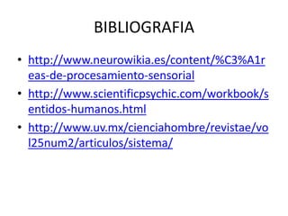 BIBLIOGRAFIA
• http://www.neurowikia.es/content/%C3%A1r
eas-de-procesamiento-sensorial
• http://www.scientificpsychic.com/workbook/s
entidos-humanos.html
• http://www.uv.mx/cienciahombre/revistae/vo
l25num2/articulos/sistema/
 