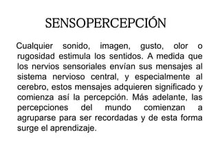 SENSOPERCEPCIÓN
Cualquier sonido, imagen, gusto, olor o
rugosidad estimula los sentidos. A medida que
los nervios sensoriales envían sus mensajes al
sistema nervioso central, y especialmente al
cerebro, estos mensajes adquieren significado y
comienza así la percepción. Más adelante, las
percepciones del mundo comienzan a
agruparse para ser recordadas y de esta forma
surge el aprendizaje.
 