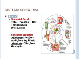 SISTEMA SENSORIAL
 TIPOS:
 Sensorial Geral:
• Tato – Pressão – Dor –
Temperatura
(frio/quente)
 Sensorial Especial:
• Somáticos: Visão –
Audição e Equilíbrio
• Viscerais: Olfação –
Gustação
 