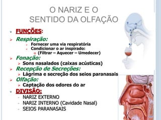 O NARIZ E O
SENTIDO DA OLFAÇÃO
• FUNÇÕES:
 Respiração:
 Fornecer uma via respiratória
 Condicionar o ar inspirado:
 (Filtrar – Aquecer – Umedecer)
 Fonação:
 Sons nasalados (caixas acústicas)
 Recepção de Secreções:
 Lágrima e secreção dos seios paranasais
 Olfação:
 Captação dos odores do ar
• DIVISÃO:
- NARIZ EXTERNO
- NARIZ INTERNO (Cavidade Nasal)
- SEIOS PARANASAIS
 