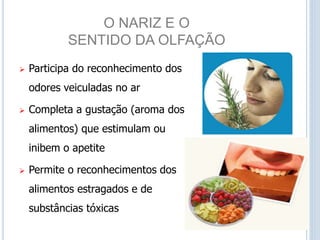 O NARIZ E O
SENTIDO DA OLFAÇÃO
 Participa do reconhecimento dos
odores veiculadas no ar
 Completa a gustação (aroma dos
alimentos) que estimulam ou
inibem o apetite
 Permite o reconhecimentos dos
alimentos estragados e de
substâncias tóxicas
 