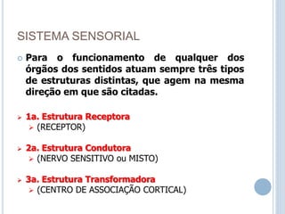 SISTEMA SENSORIAL
 Para o funcionamento de qualquer dos
órgãos dos sentidos atuam sempre três tipos
de estruturas distintas, que agem na mesma
direção em que são citadas.
 1a. Estrutura Receptora
 (RECEPTOR)
 2a. Estrutura Condutora
 (NERVO SENSITIVO ou MISTO)
 3a. Estrutura Transformadora
 (CENTRO DE ASSOCIAÇÃO CORTICAL)
 