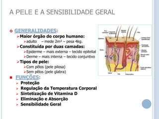 A PELE E A SENSIBILIDADE GERAL
 GENERALIDADES:
Maior órgão do corpo humano:
adulto – mede 2m² – pesa 4kg.
Constituída por duas camadas:
Epiderme – mais externa – tecido epitelial
Derme – mais interna – tecido conjuntivo
Tipos de pele:
Com pêlos (pele pilosa)
Sem pêlos (pele glabra)
 FUNÇÕES:
 Proteção
 Regulação da Temperatura Corporal
 Sintetização de Vitamina D
 Eliminação e Absorção
 Sensibilidade Geral
 