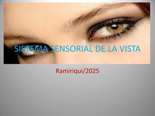 SISTEMA SENSORIAL DE LA VISTA
Ramiriqui/2025
 