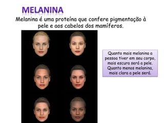 Melanina é uma proteína que confere pigmentação à
pele e aos cabelos dos mamíferos.
Quanto mais melanina a
pessoa tiver em seu corpo,
mais escura será a pele.
Quanto menos melanina,
mais clara a pele será.
 