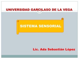 UNIVERSIDAD GARCILASO DE LA VEGA




      SISTEMA SENSORIAL




            Lic. Ada Sebastián López
 