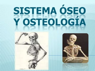 SISTEMA ÓSEO
Y OSTEOLOGÍA
*
 