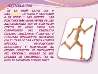 ARTICULACION
Es la unión entre dos o
más huesos, un hueso y cartílago
o un hueso y los dientes . Las
funciones más importantes de las
articulaciones son de constituir
puntos de unión entre los
componentes del esqueleto
(huesos, cartílagos y dientes) y
facilitar movimientos mecánicos
(en el caso de las articulaciones
móviles), proporcionan
elasticidad y plasticidad al
cuerpo, permitEN el crecimiento
del encéfalo, además de ser
lugares de crecimiento (en el
caso de los discos epifisiarios).
 
