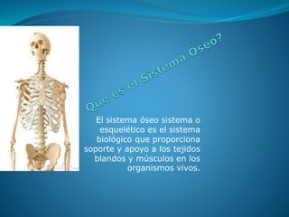 El sistema óseo sistema o
esquelético es el sistema
biológico que proporciona
soporte y apoyo a los tejidos
blandos y músculos en los
organismos vivos.
 