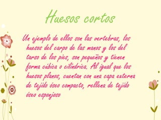 Huesos cortos
Un ejemplo de ellos son las vertebras, los
huesos del carpo de las manos y los del
tarso de los pies, son pequeños y tienen
forma cúbica o cilíndrica. Al igual que los
huesos planos, cuentan con una capa externa
de tejido óseo compacto, rellena de tejido
óseo esponjoso
 