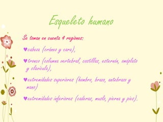 Esqueleto humano
Se toman en cuenta 4 regiones:
cabeza (cráneo y cara),
tronco (columna vertebral, costillas, esternón, omóplato
y clavícula),
extremidades superiores (hombro, brazo, antebrazo y
mano)
extremidades inferiores (caderas, muslo, pierna y pies).
 