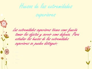 Huesos de las extremidades
superiores
Las extremidades superiores tienen como función
tomar los objetos y servir como defensa. Para
estudiar los huesos de las extremidades
superiores se pueden distinguir:
• el hombro
• el brazo
• el antebrazo
• la mano.
 