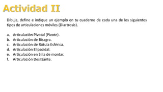 Dibuja, define e indique un ejemplo en tu cuaderno de cada una de los siguientes
tipos de articulaciones móviles (Diartrosis).
a. Articulación Pivotal (Pivote).
b. Articulación de Bisagra.
c. Articulación de Rótula Esférica.
d. Articulación Elipsoidal.
e. Articulación en Silla de montar.
f. Articulación Deslizante.
 