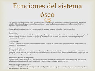 Los huesos cumplen tres funciones fundamentales: proporcionar sostén al organismo, constituir los segmentos
móviles del sistema de palancas configurado junto a las articulaciones y músculos, brindar protección a los
órganos y tejidos internos:
Soporte Los huesos proveen un cuadro rígido de soporte para los músculos y tejidos blandos.
Protección
Los huesos forman varias cavidades que protegen los órganos internos de posibles traumatismos. Por ejemplo, el
cráneo protege el cerebro frente a los golpes, y la caja torácica, formada por costillas y esternón protege los
pulmones y el corazón.
Movimiento
Gracias a los músculos que se insertan en los huesos a través de los tendones y su contracción sincronizada, se
produce el movimiento.
Homeostasis mineral
El tejido óseo almacena una serie de minerales, especialmente calcio y fósforo, necesarios para la contracción
muscular y otras muchas funciones. Cuando son necesarios, el hueso libera dichos minerales en la sangre que los
distribuye a otras partes del organismo.
Producción de células sanguíneas
Dentro de cavidades situadas en ciertos huesos, un tejido conectivo denominado médula ósea roja produce las
células sanguíneas rojas o hematíes mediante el proceso denominado hematopoyesis.
Almacén de grasas de reserva
La médula amarilla consiste principalmente en adipocitos con unos pocos hematíes dispersos. Es una importante
reserva de energía química.
Funciones del sistema
óseo
 