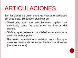 ARTICULACIONES
Son las zonas de unión entre los huesos o cartílagos
del esqueleto. Se pueden clasificar en:
 Sinartrosis, que son articulaciones rígidas, sin
movilidad, como las que unen los huesos del
cráneo.
 Sínfisis, que presentan movilidad escasa como la
unión de ambos pubis.
 Diartrosis, articulaciones móviles como las que
unen los huesos de las extremidades con el tronco
(hombro, cadera).

 