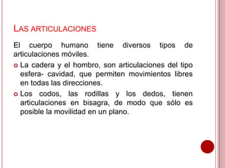 LAS ARTICULACIONES
El cuerpo humano tiene diversos tipos de
articulaciones móviles.
 La cadera y el hombro, son articulaciones del tipo
esfera- cavidad, que permiten movimientos libres
en todas las direcciones.
 Los codos, las rodillas y los dedos, tienen
articulaciones en bisagra, de modo que sólo es
posible la movilidad en un plano.

 