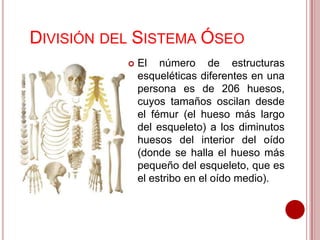 DIVISIÓN DEL SISTEMA ÓSEO


El número de estructuras
esqueléticas diferentes en una
persona es de 206 huesos,
cuyos tamaños oscilan desde
el fémur (el hueso más largo
del esqueleto) a los diminutos
huesos del interior del oído
(donde se halla el hueso más
pequeño del esqueleto, que es
el estribo en el oído medio).

 