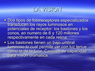 LA VISION Dos tipos de fotoreceptores especializados transducen los rayos luminosos en potenciales de receptor: los bastones y los conos, en numero de 6 y 120 millones respectivamente en cada retina.  Los bastones tienen un bajo umbral luminoso lo cual permite ver con luz tenue como la de la luna. Carecen de capacidad para vision cromatica.  