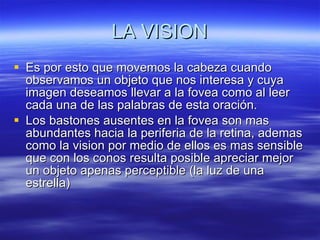 LA VISION Es por esto que movemos la cabeza cuando observamos un objeto que nos interesa y cuya imagen deseamos llevar a la fovea como al leer cada una de las palabras de esta oración. Los bastones ausentes en la fovea son mas abundantes hacia la periferia de la retina, ademas como la vision por medio de ellos es mas sensible que con los conos resulta posible apreciar mejor un objeto apenas perceptible (la luz de una estrella) 