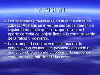 LA VISION Las imágenes proyectadas en la retina estan de cabeza. Ademas se invierten sus lados derecho e izquierdo de modo que la luz que incide en l aparte derecha del objeto llega a la zona izquierda de la retina y viceversa.  La razon por la que no vemos el mundo de cabeza y con los lados en posicion cambiada es que el cerebro aprende a coordinar la imágenes conforme la orientacion de las cosas. 