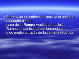 Para evitar un estímulo excesivo la onda es atenuada cuando pasa de la Rampa Vestibular hacia la Rampa timpánica, desembocando en el oído medio a través de la ventana redonda.  