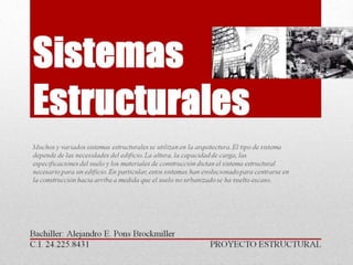 Sistemas estructurales trabajo  de alejandro pons