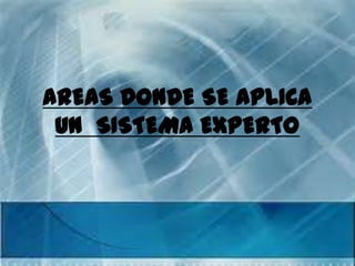 AREAS DONDE SE APLICA
 UN SISTEMA EXPERTO
 