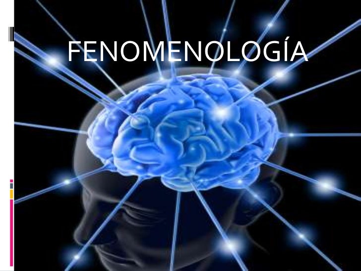 Descubre la Teoría Fenomenológica: Una Perspectiva Única Teoria fenomenologica
