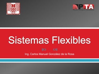         
Ing. Carlos Manuel González de la Rosa
 