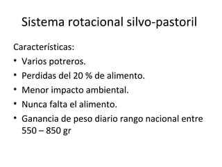 Sistema rotacional silvo-pastoril
Características:
• Varios potreros.
• Perdidas del 20 % de alimento.
• Menor impacto ambiental.
• Nunca falta el alimento.
• Ganancia de peso diario rango nacional entre
550 – 850 gr
 