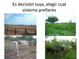 Es decisión tuya, elegir cual
sistema prefieres
 