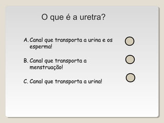 O que é a uretra? 
A.Canal que transporta a urina e os 
esperma! 
B. Canal que transporta a 
menstruação! 
C. Canal que transporta a urina! 
 