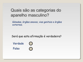 Quais são as categorias do 
aparelho masculino? 
Gónadas, órgãos anexos, vias genitais e órgãos 
externos. 
Será que esta afirmação é verdadeira? 
Verdade 
Falso 
 