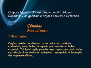 O aparelho genital masculino é constituído por 
Gônadas, Vias genitais e órgãos anexos e externos. 
Gônadas 
Masculinas: 
Testículos: 
Órgãos ovóides localizados no exterior da cavidade 
abdominal, numa bolsa designada por escroto ou bolsa 
escrotal. Tal localização permite uma teperatura mais baixa 
em relação á da cavidade abdominal, necessária á formação 
dos esprmatezóides. 
 