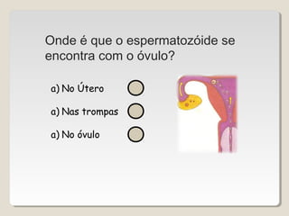 Onde é que o espermatozóide se 
encontra com o óvulo? 
a) No Útero 
a) Nas trompas 
a) No óvulo 
 