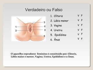Verdadeiro ou Falso 
1. Clítoris 
2. Lábio menor 
3. Vagina 
4. Uretra 
5. Epidídimo 
6. Ânus 
V F 
V F 
V 
V 
F 
F 
V F 
V F 
O aparelho reprodutor feminino é constituído por: Clítoris, 
Lábio maior e menor, Vagina, Uretra, Epidídimo e o Ânus. 
 