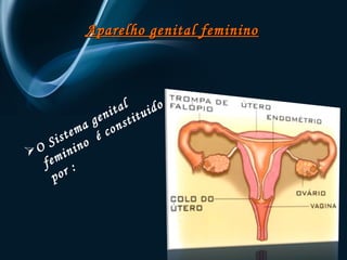 Aparelho ggeenniittaall ffeemmiinniinnoo 
O S i s t e m a g e n i t a l 
f e m i n i n o é c o n s t i t u i d o 
p o r : 
 