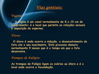 Vias genitais: 
Vagina: 
A vagina é um canal normalmente de 8 a 10 cm de 
comprimento; é o local que permite as relações sexuais 
e deposição do esperma. 
Útero: 
O útero é onde ocorre a nidação, o desenvolvimento do 
feto ate o seu nascimento. Este processo demora 
normalmente 9 meses que é o tempo em que o feto 
desenvolve. 
Trompas de Falópio: 
As trompas de Falópio ligam os ovários ao útero e é o 
local onde ocorre a fecundação. 
 