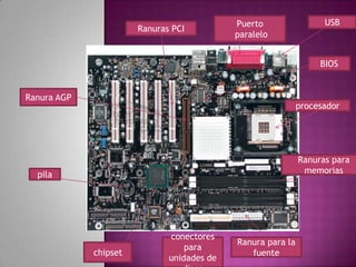 Puerto   paralelo  USB Ranuras PCI BIOS Ranura AGP procesador Ranuras para  memorias pila Ranura para la fuente conectores para unidades de disco chipset 