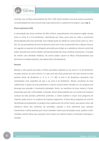 contribui com as fibras descendentes do TCE e TCB. Existe também uma área motora secundaria
     na profundidade do sulco central onde o giro précentral e o póscentral emergem, veja a fig. 6.

     Áreas supressoras (AS)

     A estimulação das áreas cerebrais de Mac Culloch, especialmente uma pequena região situada
     entre as áreas 4 e 6 de Brodmann, identificada por Hines como área 4s, inibe o movimento
     desencadeado pela área piramidal. Essa inibição pode ser obtida em outras áreas como 1s, 19s e
     24s. As vias procedentes da área 4s descem juntas com as da via piramidal até a cápsula interna,
     em seguida se separam do contingente piramidal para dirigir-se a substância reticular central do
     bulbo. Quando esse centro inibidor está desconectado das áreas cerebrais supressoras, é incapaz
     de manter uma atividade inibidora. Do centro bulbar nascem às fibras retículoespinhais que
     terminam na medula espinhal, veja abaixo feixe retículoespinal.

     Resumo

     Metade a três quartos de todas as fibras piramidais originam-se nas áreas 4 e 6 de Brodmann
     situadas anterior ao sulco central, e o resto vem das áreas posteriores do sulco central no lobo
     parietal (áreas de Brodmann 1, 3, 2, 5, 7 e 40). A área 4 de Brodmann apresenta uma
     somatotopia mais específica do que a da área 6 de Brodmann. Muitos neurônios da área
     suplementar e partes da área prémotora e motora cortical foram ativadas em um programa de
     descarga que precede o movimento planejado. Assim, os neurônios da área motora 4 foram
     preparados para dar continuidade a ativação; foram desencadeado por um número de impulsos
     corticais do lobo parietal, préfrontal, prémotor, e córtex auditivo e visual. Esse programa de
     impulsos pode ocorrer na ausência de impulsos segmentar. A fonte desse programa de sinal foi
     identificada principalmente na própria área suplementar do córtex motor, que parece estar sob
     influência direta dos estímulos de prontidão, alçando a área préfrontal para planejar
     movimentos e córtex parietal para iniciar atividade motora por percepção visual, auditiva e tátil.
     Também existem fibras que alcançam área motora do sistema límbico, facilitando motivação e
     atenção.




11
 