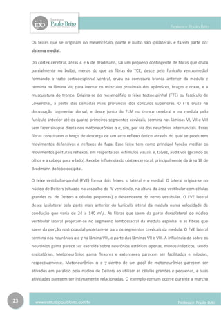 Os feixes que se originam no mesencéfalo, ponte e bulbo são ipsilaterais e fazem parte do:
     sistema medial.

     Do córtex cerebral, áreas 4 e 6 de Brodmann, sai um pequeno contingente de fibras que cruza
     parcialmente no bulbo, menos do que as fibras do TCE, desce pelo funículo ventromedial
     formando o trato corticoespinhal ventral, cruza na comissura branca anterior da medula e
     termina na lâmina VII, para inervar os músculos proximais dos apêndices, braços e coxas, e a
     musculatura do tronco. Origina-se do mesencéfalo o feixe tectoespinhal (FTE) ou fascículo de
     Löwenthal, a partir das camadas mais profundas dos colículos superiores. O FTE cruza na
     decussação tegmentar dorsal, e desce junto do FLM no tronco cerebral e na medula pelo
     funículo anterior até os quatro primeiros segmentos cervicais; termina nas lâminas VI, VII e VIII
     sem fazer sinapse direta nos motoneurônios α e, sim, por via dos neurônios internunciais. Essas
     fibras constituem o braço de descarga de um arco reflexo óptico através do qual se produzem
     movimentos defensivos e reflexos de fuga. Esse feixe tem como principal função mediar os
     movimentos posturais reflexos, em resposta aos estímulos visuais e, talvez, auditivos (girando os
     olhos e a cabeça para o lado). Recebe influência do córtex cerebral, principalmente da área 18 de
     Brodmann do lobo occipital.

     O feixe vestíbuloespinhal (FVE) forma dois feixes: o lateral e o medial. O lateral origina-se no
     núcleo de Deiters (situado no assoalho do IV ventrículo, na altura da área vestibular com células
     grandes ou de Deiters e células pequenas) e descendente do nervo vestibular. O FVE lateral
     desce ipsilateral pela parte mais anterior do funículo lateral da medula numa velocidade de
     condução que varia de 24 a 140 ms. As fibras que saem da parte dorsolateral do núcleo
     vestibular lateral projetam-se no segmento lombossacral da medula espinhal e as fibras que
     saem da porção rostrocaudal projetam-se para os segmentos cervicais da medula. O FVE lateral
     termina nos neurônios α e γ na lâmina VIII, e parte das lâminas VII e VIII. A influência do sobre os
     neurônios gama parece ser exercida sobre neurônios estáticos apenas, monossinápticos, sendo
     excitatórios. Motoneurônios gama flexores e extensores parecem ser facilitados e inibidos,
     respectivamente. Motoneurônios α e γ dentro de um pool de motoneurônios parecem ser
     ativados em paralelo pelo núcleo de Deiters ao utilizar as células grandes e pequenas, e suas
     atividades parecem ser intimamente relacionadas. O exemplo comum ocorre durante a marcha



23
 