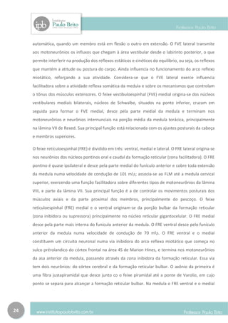 automática, quando um membro está em flexão o outro em extensão. O FVE lateral transmite
     aos motoneurônios os influxos que chegam à área vestibular desde o labirinto posterior, o que
     permite interferir na produção dos reflexos estáticos e cinéticos do equilíbrio, ou seja, os reflexos
     que mantém a atitude ou postura do corpo. Ainda influencia no funcionamento do arco reflexo
     miotático, reforçando a sua atividade. Considera-se que o FVE lateral exerce influencia
     facilitadora sobre a atividade reflexa somática da medula e sobre os mecanismos que controlam
     o tônus dos músculos extensores. O feixe vestibuloespinhal (FVE) medial origina-se dos núcleos
     vestibulares mediais bilaterais, núcleos de Schwalbe, situados na ponte inferior, cruzam em
     seguida para formar o FVE medial, desce pela parte medial da medula e terminam nos
     motoneurônios e neurônios internunciais na porção média da medula torácica, principalmente
     na lâmina VII de Rexed. Sua principal função está relacionada com os ajustes posturais da cabeça
     e membros superiores.

     O feixe retículoespinhal (FRE) é dividido em três: ventral, medial e lateral. O FRE lateral origina-se
     nos neurônios dos núcleos pontinos oral e caudal da formação reticular (zona facilitadora). O FRE
     pontino é quase ipsilateral e desce pela parte medial do funículo anterior e cobre toda extensão
     da medula numa velocidade de condução de 101 ms; associa-se ao FLM até a medula cervical
     superior, exercendo uma função facilitadora sobre diferentes tipos de motoneurônios da lâmina
     VIII, e parte da lâmina VII. Sua principal função é a de controlar os movimentos posturais dos
     músculos axiais e da parte proximal dos membros, principalmente do pescoço. O feixe
     retículoespinhal (FRE) medial e o ventral originam-se da porção bulbar da formação reticular
     (zona inibidora ou supressora) principalmente no núcleo reticular gigantocelular. O FRE medial
     desce pela parte mais interna do funículo anterior da medula. O FRE ventral desce pelo funículo
     anterior da medula numa velocidade de condução de 70 ms. O FRE ventral e o medial
     constituem um circuito neuronal numa via inibidora do arco reflexo miotático que começa no
     sulco prérolandico do córtex frontal na área 4S de Marion Hines, e termina nos motoneurônios
     da asa anterior da medula, passando através da zona inibidora da formação reticular. Essa via
     tem dois neurônios: do córtex cerebral e da formação reticular bulbar. O axônio da primeira é
     uma fibra justapiramidal que desce junto co o feixe piramidal até a ponte de Varolio, em cujo
     ponto se separa para alcançar a formação reticular bulbar. Na medula o FRE ventral e o medial




24
 