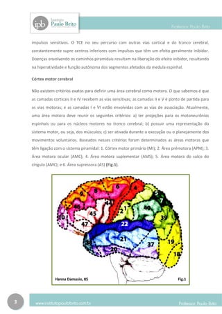impulsos sensitivos. O TCE no seu percurso com outras vias cortical e do tronco cerebral,
    constantemente supre centros inferiores com impulsos que têm um efeito geralmente inibidor.
    Doenças envolvendo os caminhos piramidais resultam na liberação do efeito inibidor, resultando
    na hiperatividade e função autônoma dos segmentos afetados da medula espinhal.

    Córtex motor cerebral

    Não existem critérios exatos para definir uma área cerebral como motora. O que sabemos é que
    as camadas corticais II e IV recebem as vias sensitivas; as camadas II e V é ponto de partida para
    as vias motoras; e as camadas I e VI estão envolvidas com as vias de associação. Atualmente,
    uma área motora deve reunir os seguintes critérios: a) ter projeções para os motoneurônios
    espinhais ou para os núcleos motores no tronco cerebral; b) possuir uma representação do
    sistema motor, ou seja, dos músculos; c) ser ativada durante a execução ou o planejamento dos
    movimentos voluntários. Baseados nesses critérios foram determinados as áreas motoras que
    têm ligação com o sistema piramidal: 1. Córtex motor primário (MI); 2. Área prémotora (APM); 3.
    Área motora ocular (AMC); 4. Área motora suplementar (AMS); 5. Área motora do sulco do
    cíngulo (AMC); e 6. Área supressora (AS) (Fig.1).




                 Hanna Damasio, 05                                                  Fig.1




3
 