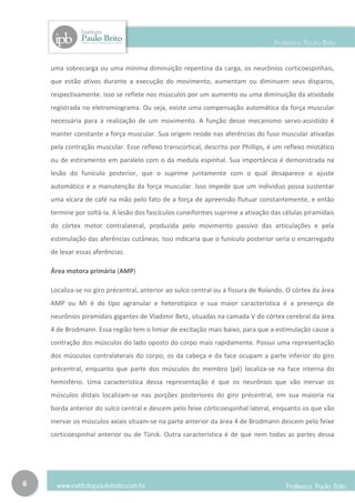 uma sobrecarga ou uma mínima diminuição repentina da carga, os neurônios corticoespinhais,
    que estão ativos durante a execução do movimento, aumentam ou diminuem seus disparos,
    respectivamente. Isso se reflete nos músculos por um aumento ou uma diminuição da atividade
    registrada no eletromiograma. Ou seja, existe uma compensação automática da força muscular
    necessária para a realização de um movimento. A função desse mecanismo servo-assistido é
    manter constante a força muscular. Sua origem reside nas aferências do fuso muscular ativadas
    pela contração muscular. Esse reflexo transcortical, descrito por Phillips, é um reflexo miotático
    ou de estiramento em paralelo com o da medula espinhal. Sua importância é demonstrada na
    lesão do funículo posterior, que o suprime juntamente com o qual desaparece o ajuste
    automático e a manutenção da força muscular. Isso impede que um indivíduo possa sustentar
    uma xícara de café na mão pelo fato de a força de apreensão flutuar constantemente, e então
    termine por soltá-la. A lesão dos fascículos cuneiformes suprime a ativação das células piramidais
    do córtex motor contralateral, produzida pelo movimento passivo das articulações e pela
    estimulação das aferências cutâneas. Isso indicaria que o funículo posterior seria o encarregado
    de levar essas aferências.

    Área motora primária (AMP)

    Localiza-se no giro précentral, anterior ao sulco central ou a fissura de Rolando. O córtex da área
    AMP ou MI é do tipo agranular e heterotípico e sua maior característica é a presença de
    neurônios piramidais gigantes de Vladimir Betz, situadas na camada V do córtex cerebral da área
    4 de Brodmann. Essa região tem o limiar de excitação mais baixo, para que a estimulação cause a
    contração dos músculos do lado oposto do corpo mais rapidamente. Possui uma representação
    dos músculos contralaterais do corpo; os da cabeça e da face ocupam a parte inferior do giro
    précentral, enquanto que parte dos músculos do membro (pé) localiza-se na face interna do
    hemisfério. Uma característica dessa representação é que os neurônios que vão inervar os
    músculos distais localizam-se nas porções posteriores do giro précentral, em sua maioria na
    borda anterior do sulco central e descem pelo feixe córticoespinhal lateral, enquanto os que vão
    inervar os músculos axiais situam-se na parte anterior da área 4 de Brodmann descem pelo feixe
    corticoespinhal anterior ou de Türck. Outra característica é de que nem todas as partes dessa




6
 