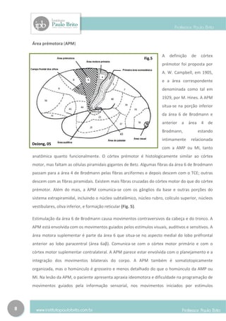 Área prémotora (APM)

                                                                           A   definição    de     córtex
                                                                   Fig.5
                                                                           prémotor foi proposta por
                                                                           A. W. Campbell, em 1905,
                                                                           e a área correspondente
                                                                           denominada como tal em
                                                                           1929, por M. Hines. A APM
                                                                           situa-se na porção inferior
                                                                           da área 6 de Brodmann e
                                                                           anterior   a    área    4 de
                                                                           Brodmann,              estando
                                                                           intimamente      relacionada
    DeJong, 05
                                                                           com a AMP ou MI, tanto
    anatômica quanto funcionalmente. O córtex prémotor é histologicamente similar ao córtex
    motor, mas faltam as células piramidais gigantes de Betz. Algumas fibras da área 6 de Brodmann
    passam para a área 4 de Brodmann pelas fibras arciformes e depois descem com o TCE; outras
    descem com as fibras piramidais. Existem mais fibras cruzadas do córtex motor do que do córtex
    prémotor. Além do mais, a APM comunica-se com os gânglios da base e outras porções do
    sistema extrapiramidal, incluindo o núcleo subtalâmico, núcleo rubro, colículo superior, núcleos
    vestibulares, oliva inferior, e formação reticular (Fig. 5).

    Estimulação da área 6 de Brodmann causa movimentos contraversivos da cabeça e do tronco. A
    APM está envolvida com os movimentos guiados pelos estímulos visuais, auditivos e sensitivos. A
    área motora suplementar é parte da área 6 que situa-se no aspecto medial do lobo préfrontal
    anterior ao lobo paracentral (área 6aβ). Comunica-se com o córtex motor primário e com o
    córtex motor suplementar contralateral. A APM parece estar envolvida com o planejamento e a
    integração dos movimentos bilaterais do corpo. A APM também é somatotopicamente
    organizada, mas o homúnculo é grosseiro e menos detalhado do que o homúnculo da AMP ou
    MI. Na lesão da APM, o paciente apresenta apraxia ideomotora e dificuldade na programação de
    movimentos guiados pela informação sensorial, nos movimentos iniciados por estímulos




8
 