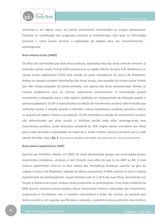sensoriais e, em alguns casos, em certos movimentos autoiniciados no espaço extrapessoal.
    Participa na modificação dos programas motores já estabelecidos, com base na informação
    sensorial l, como ocorre durante a exploração de objetos para seu reconhecimento -
    estereognosia.

    Área motora ocular (AMO)

    Os olhos são controlados por duas áreas corticais, localizadas fora das áreas corticais motoras. O
    chamado campo ocular frontal (COF) encontra-se na região inferior da área 8 de Brodmann e o
    campo ocular suplementar (COS) está situado na parte rostrodorsal da área 6 de Brodmann.
    Ambos os campos recebem informações das áreas visuais, com exceção do campo ocular frontal
    que não recebe projeções do córtex estriado, mas apenas das áreas extraestriadas. Ambos os
    campos projetam-se para os centros subcorticias óculomotores. A estimulação produz
    movimentos conjugados para o lado oposto, podendo ser acompanhado de dilatação pupilar e
    abertura palpebral. O COF é especializado na seleção de movimentos oculares determinados por
    estímulos visuais. É ativado quando o indivíduo realiza movimentos sacádicos durante a leitura
    ou quando um objeto chama a sua atenção. O COS intervém na seleção de movimentos oculares
    não determinados por alvos visuais, o indivíduo decide onde olhar autoregerando seus
    movimentos oculares. Lesão destrutiva unilateral do COF origina desvio transitório dos olhos
    para o lado da lesão e impossibilita de movê-los e, lesão irritativa, desvio transitório para o lado
    oposto da lesão, veja a fig. 4. Para maiores detalhes sobre AMO, veja neste site em: nervos óculomotores.

    Área motora suplementar (AMS)

    Descrita por Penfield e Welch, em 1949, foi assim denominada porque sua estimulação produz
    movimentos complexos, variáveis e com limiares mais altos do que os da AMP ou MI. A área
    motora suplementar situa-se na face medial dos hemisférios cerebrais superior ao giro do
    cíngulo na área 6 de Brodmann, adiante do lóbulo paracentral. A AMS conecta-se com a medula
    espinhal pela via corticoespinhal, a qual contribui com 12 a 18 % das suas fibras. Geralmente sua
    função é bilateral ao corpo, embora ainda predomine as contralaterais. Uma lesão unilateral da
    AMS durante primeira semana produz afasia transcortical motora e alterações dos movimentos
    seqüenciais e simultâneos com o membro contralateral à lesão. Ao solicitar ao paciente que
    feche o punho e, em seguida, que flexione o cotovelo, o paciente realiza o primeiro movimento e


9
 
